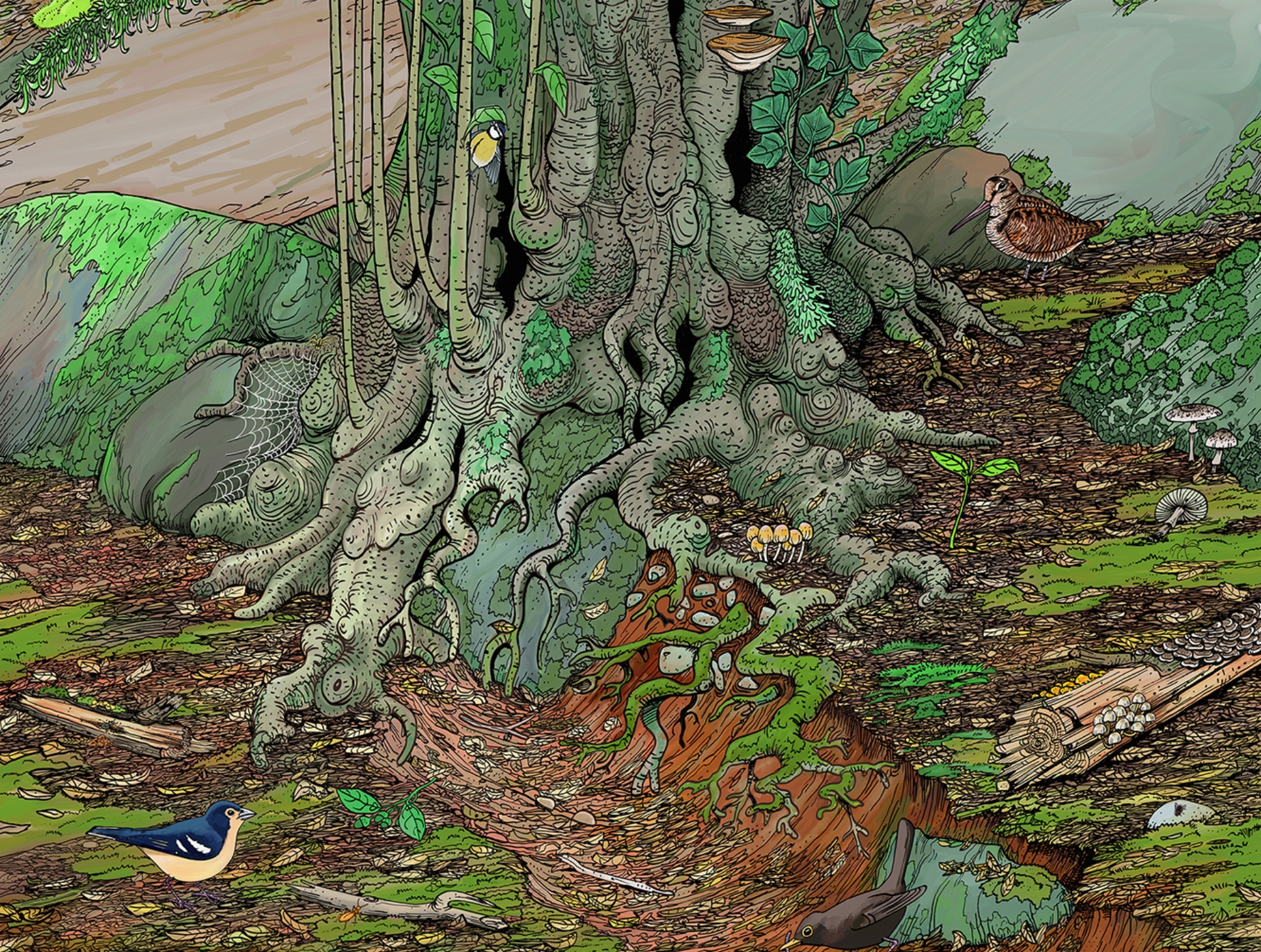 2 ILUSTRACIÓN GRAN FORMATO MUSEOS